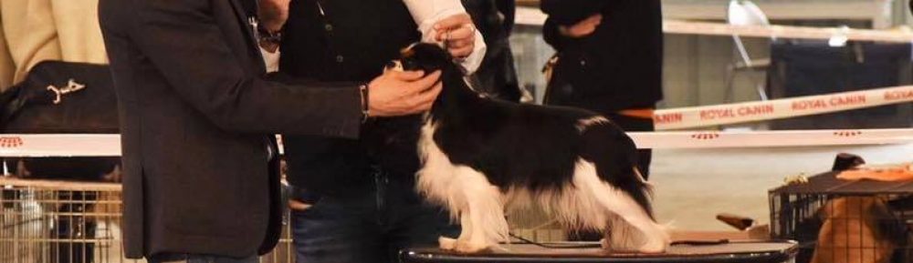 Les Cavaliers de Bettignies