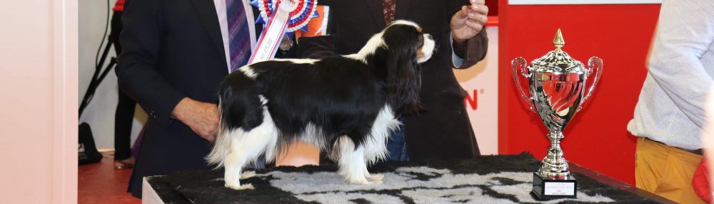 Les Cavaliers de Bettignies